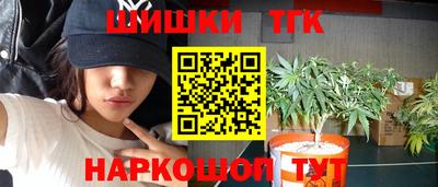 индика Ивантеевка