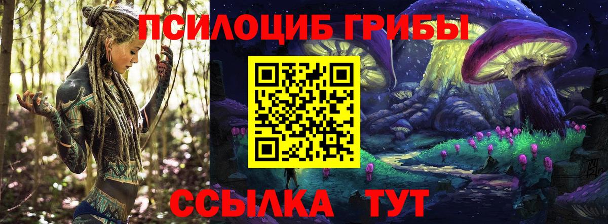 Псилоцибиновые грибы MAGIC MUSHROOMS Белгород