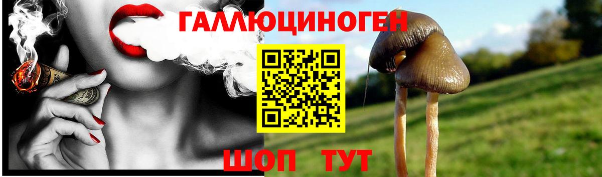 Галлюциногенные грибы мицелий  Псилоцибиновые грибы мицелий  Белгород  Вход с VPN 